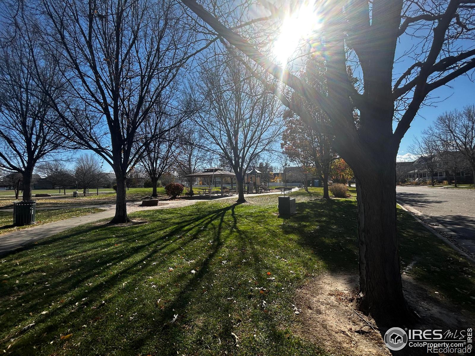 MLS Image #37 for 1166  st john street,erie, Colorado