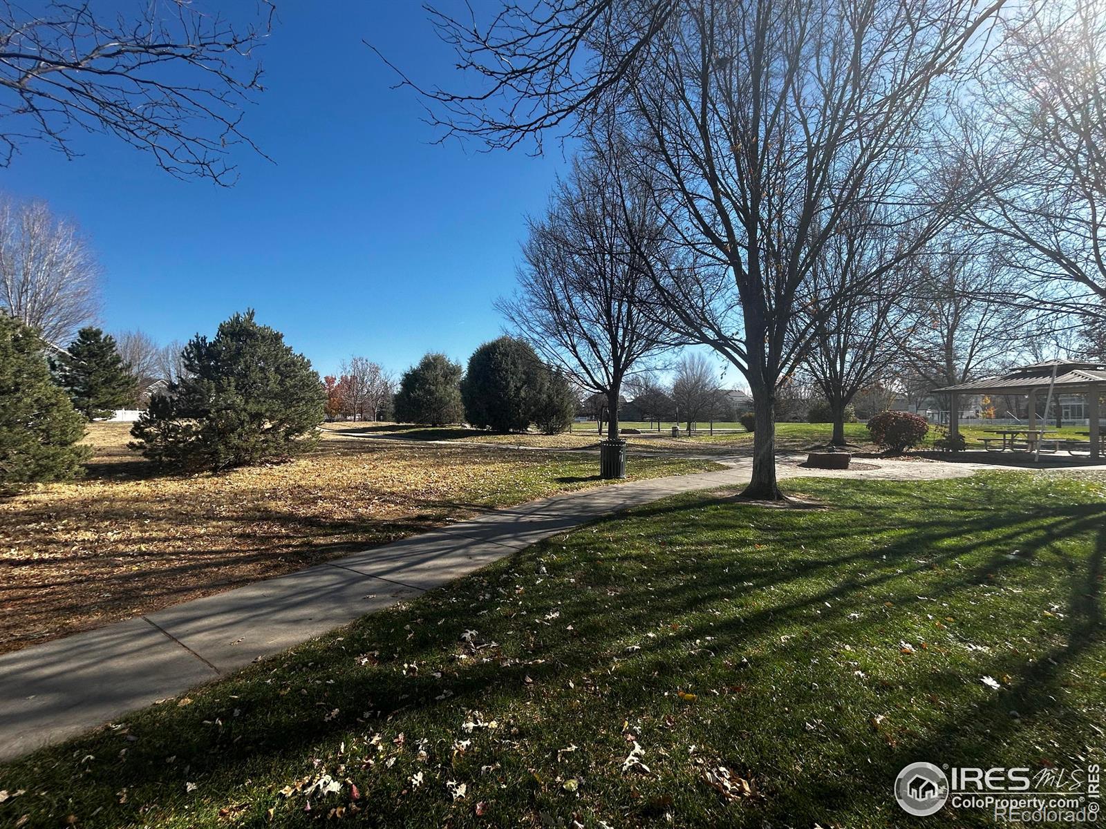 MLS Image #38 for 1166  st john street,erie, Colorado