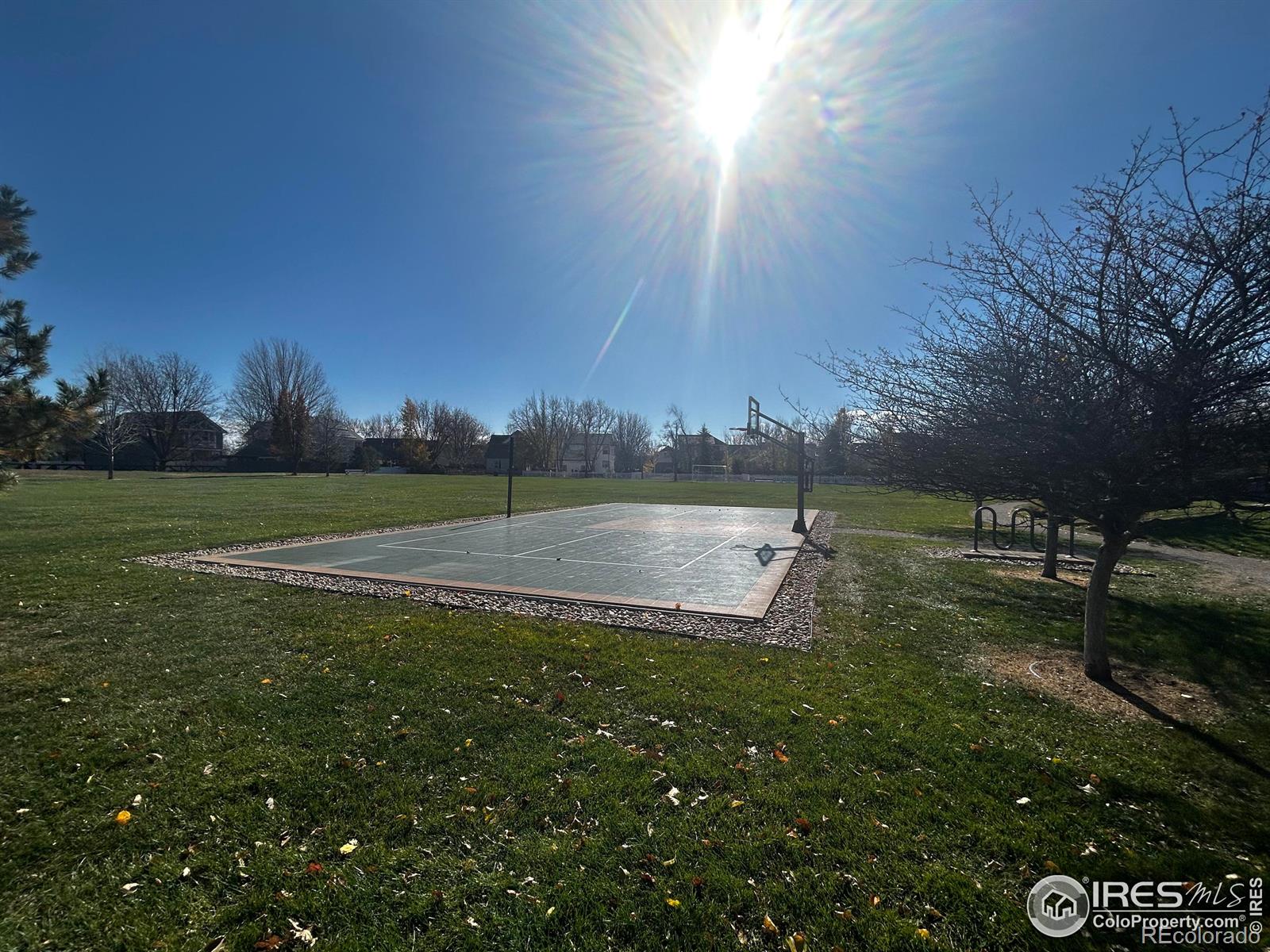MLS Image #39 for 1166  st john street,erie, Colorado