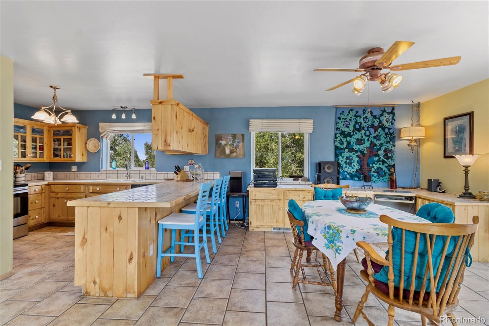 MLS Image #23 for 1279  meadowlark road,crestone, Colorado