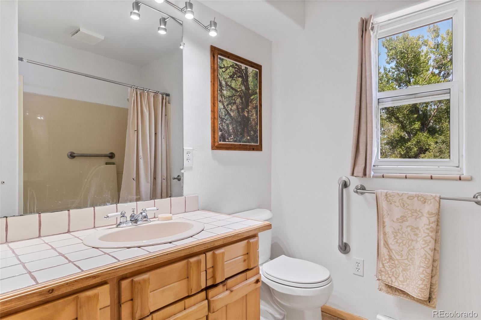 MLS Image #27 for 1279  meadowlark road,crestone, Colorado