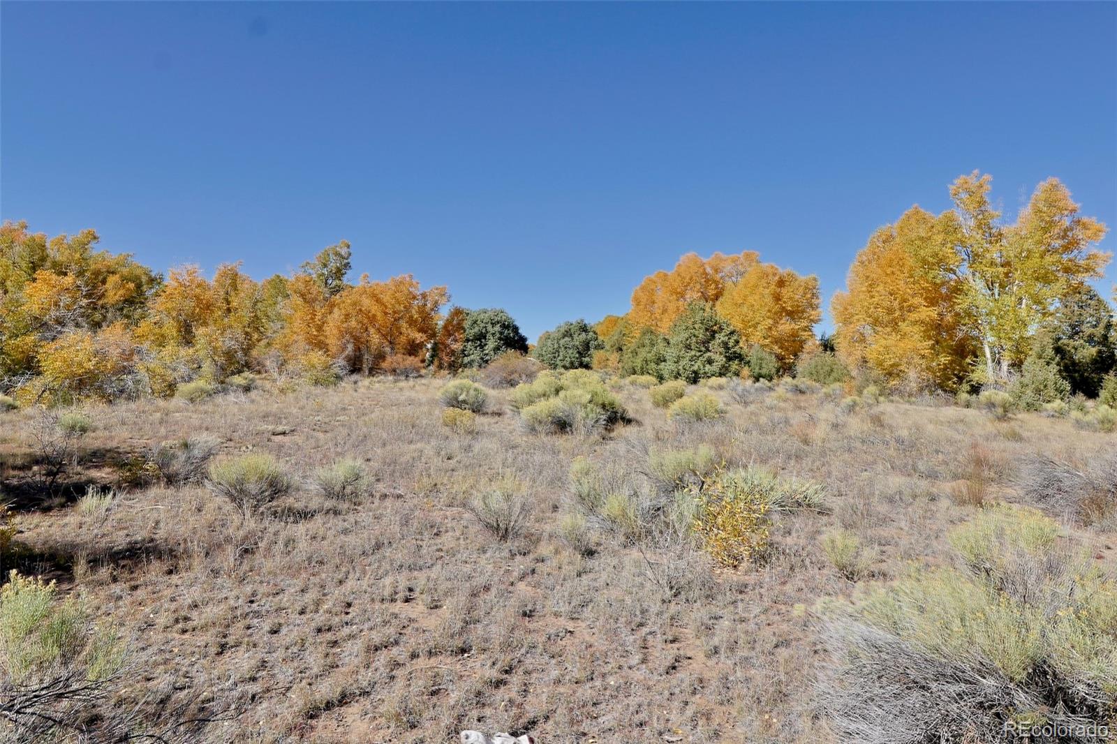 MLS Image #3 for 1279  meadowlark road,crestone, Colorado
