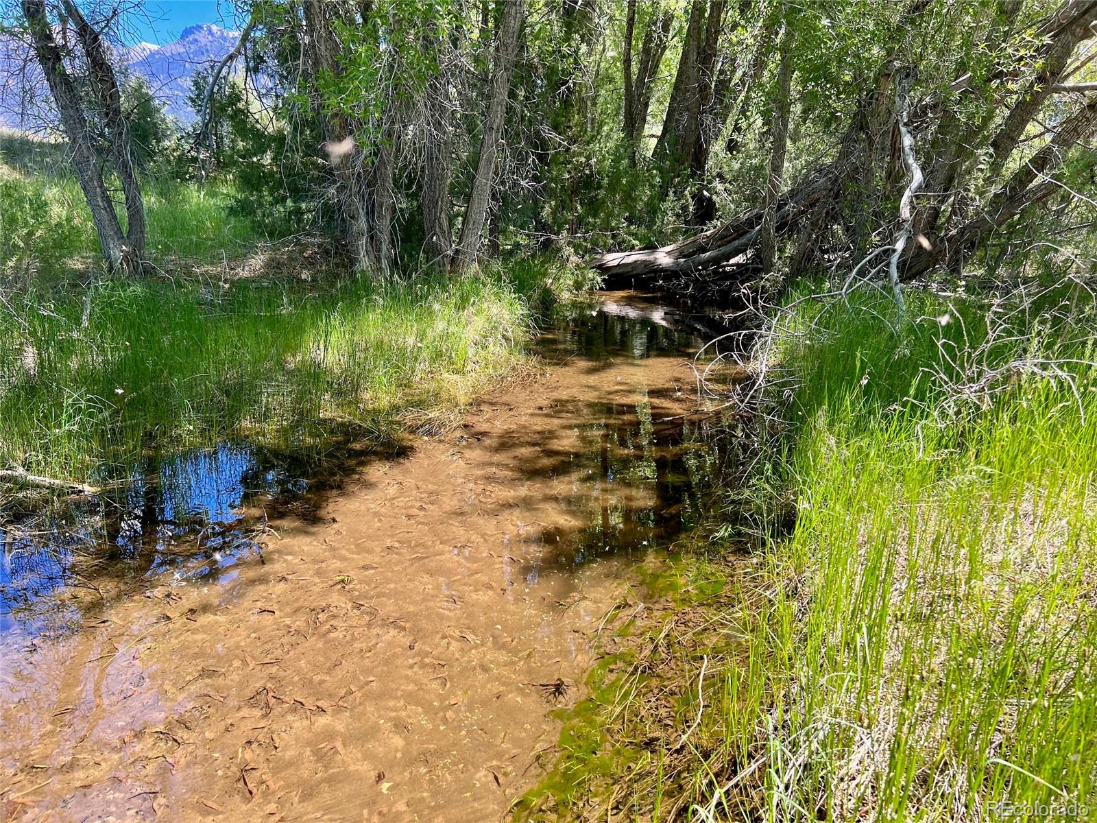MLS Image #45 for 1279  meadowlark road,crestone, Colorado