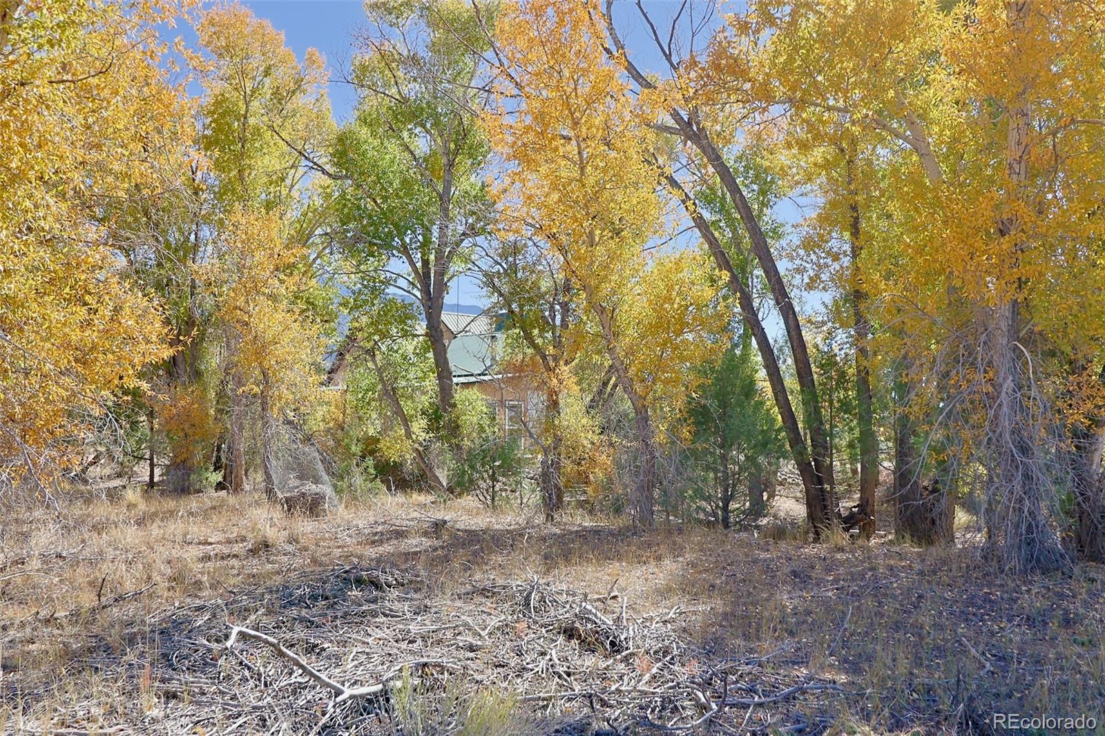MLS Image #5 for 1279  meadowlark road,crestone, Colorado