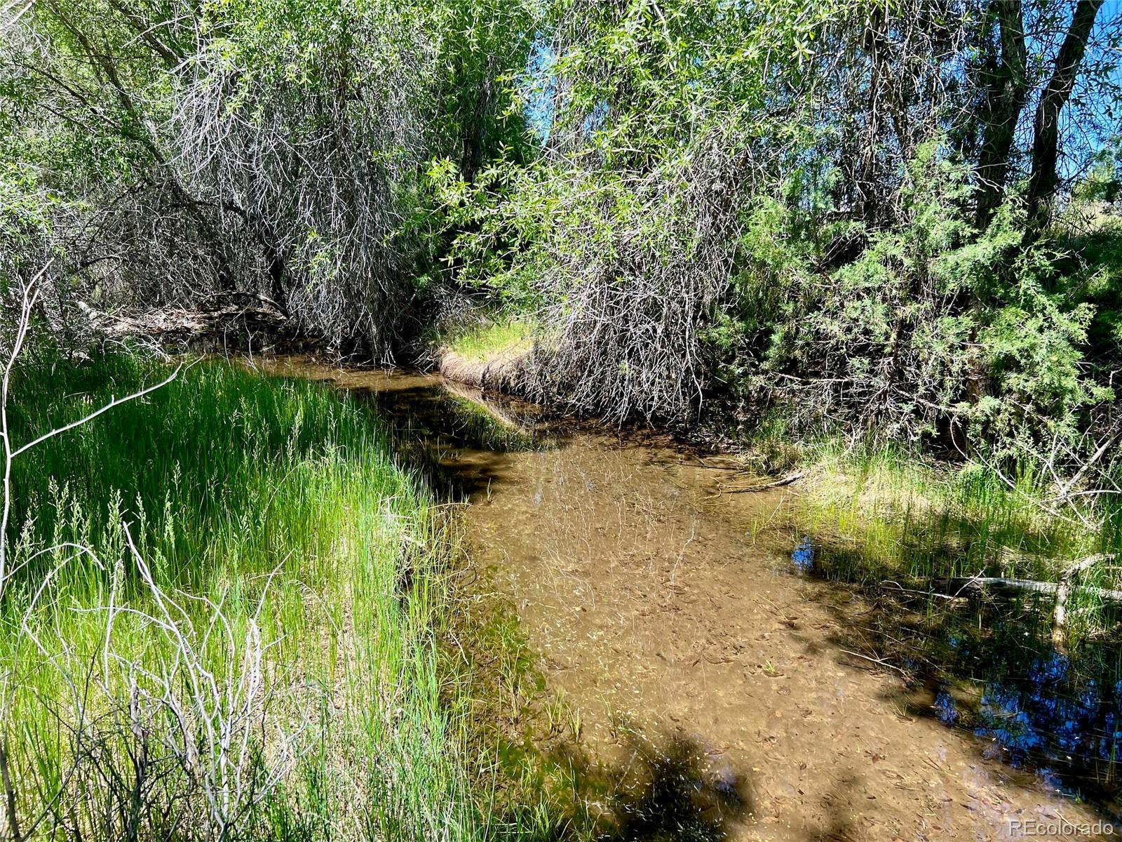 MLS Image #8 for 1279  meadowlark road,crestone, Colorado