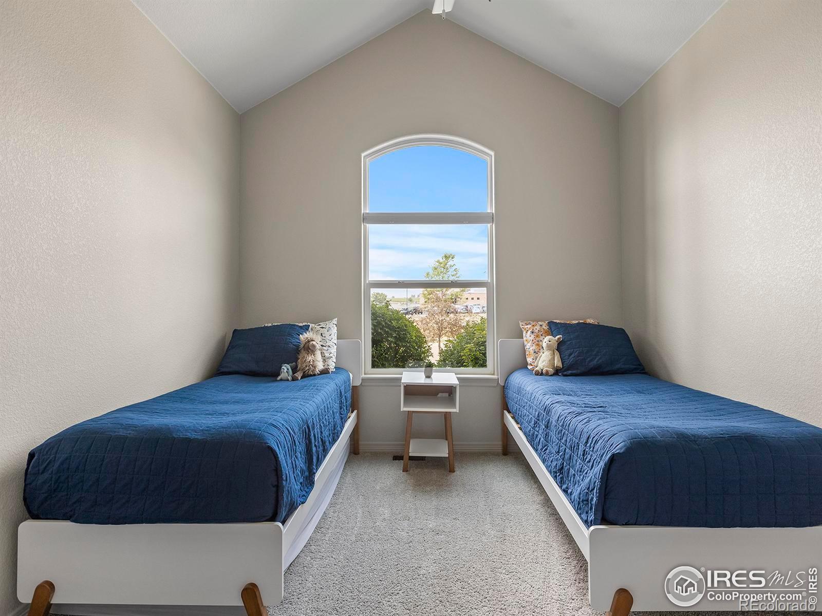 MLS Image #22 for 1814  avery plaza street,severance, Colorado