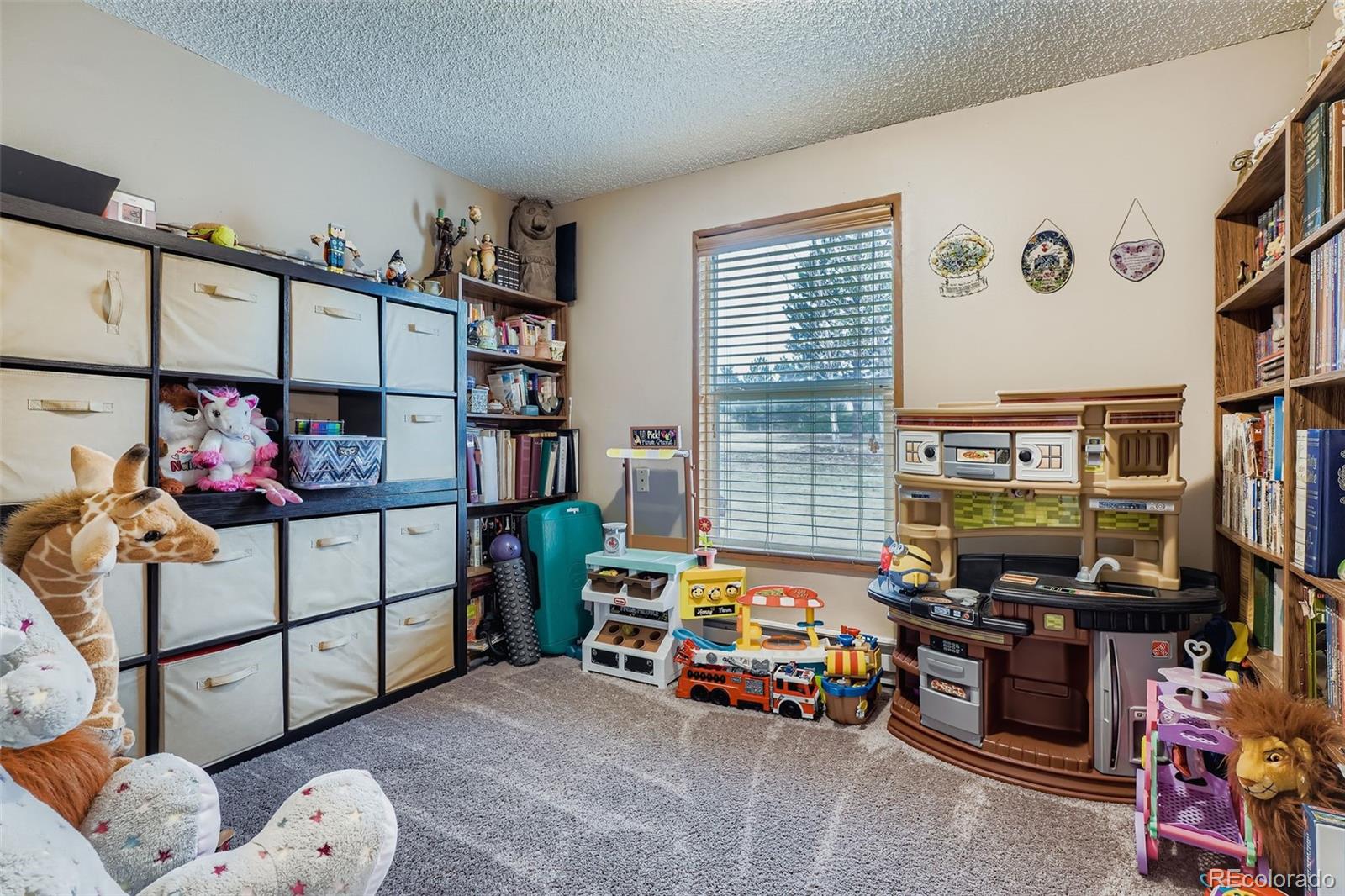 MLS Image #19 for 36888  view ridge drive,elizabeth, Colorado