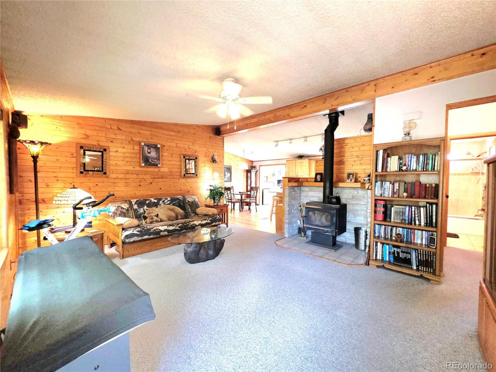 MLS Image #11 for 277  cherokee drive,florissant, Colorado