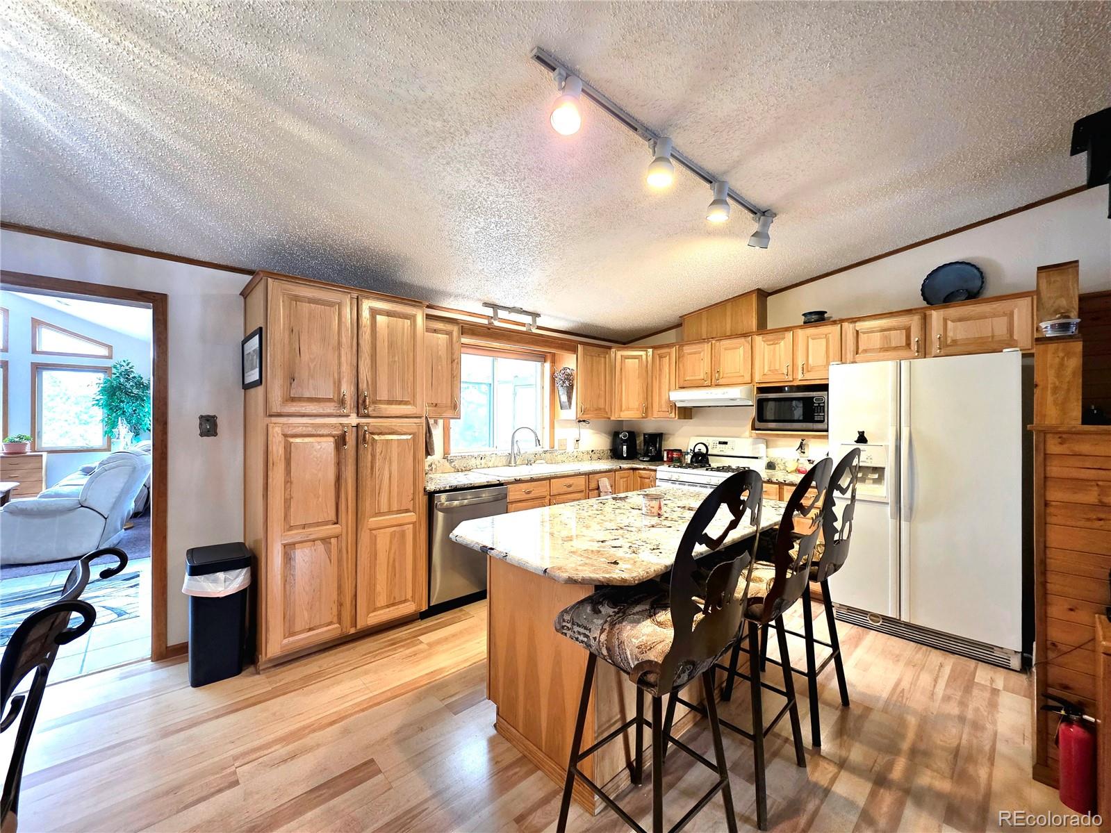 MLS Image #13 for 277  cherokee drive,florissant, Colorado