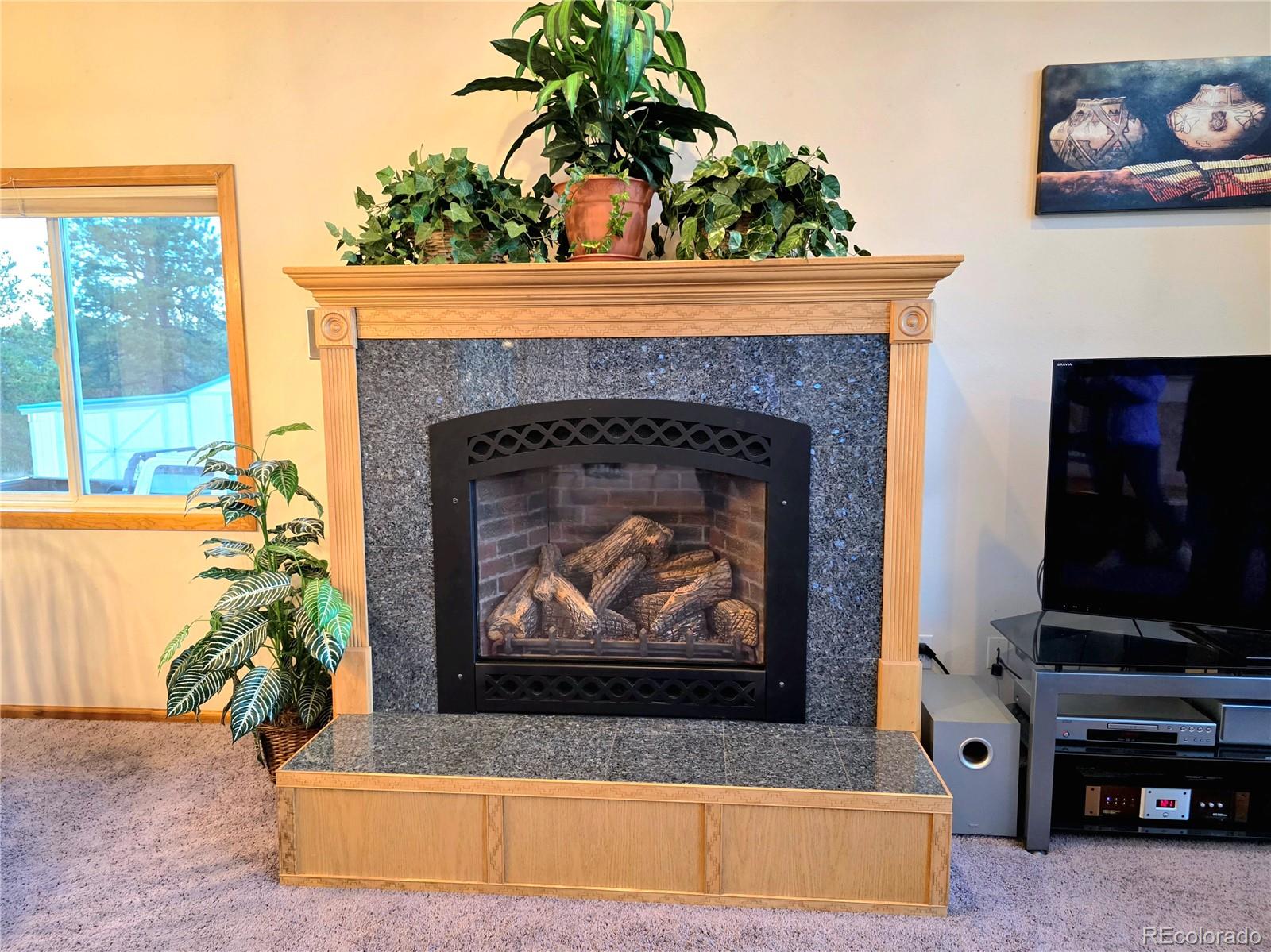 MLS Image #19 for 277  cherokee drive,florissant, Colorado