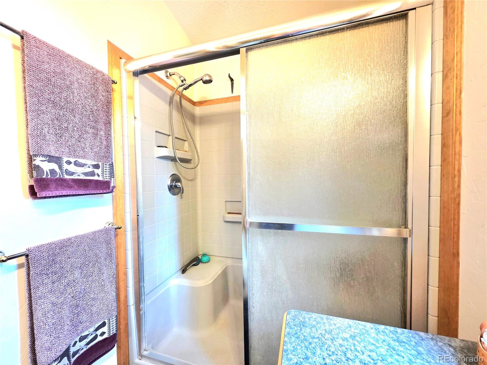MLS Image #20 for 277  cherokee drive,florissant, Colorado