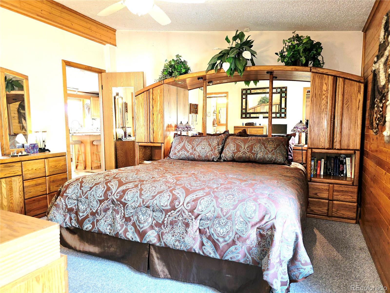 MLS Image #26 for 277  cherokee drive,florissant, Colorado