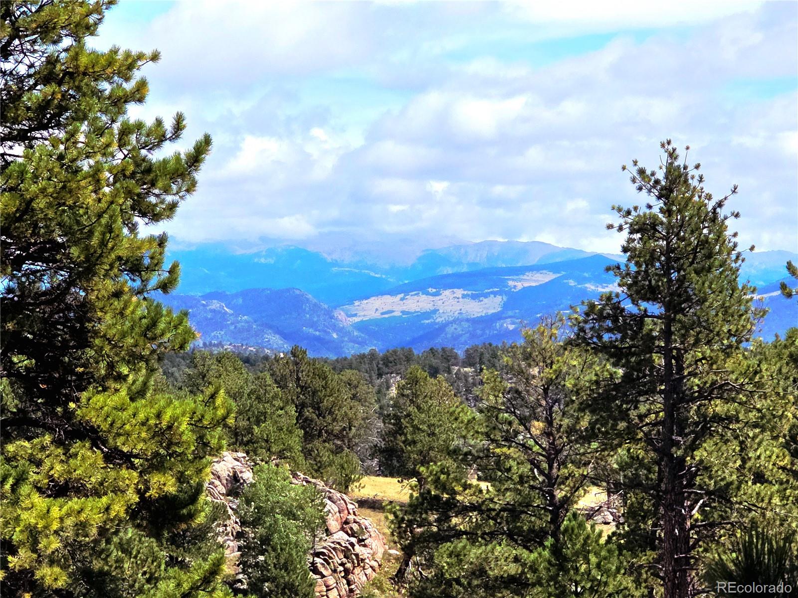 MLS Image #3 for 277  cherokee drive,florissant, Colorado