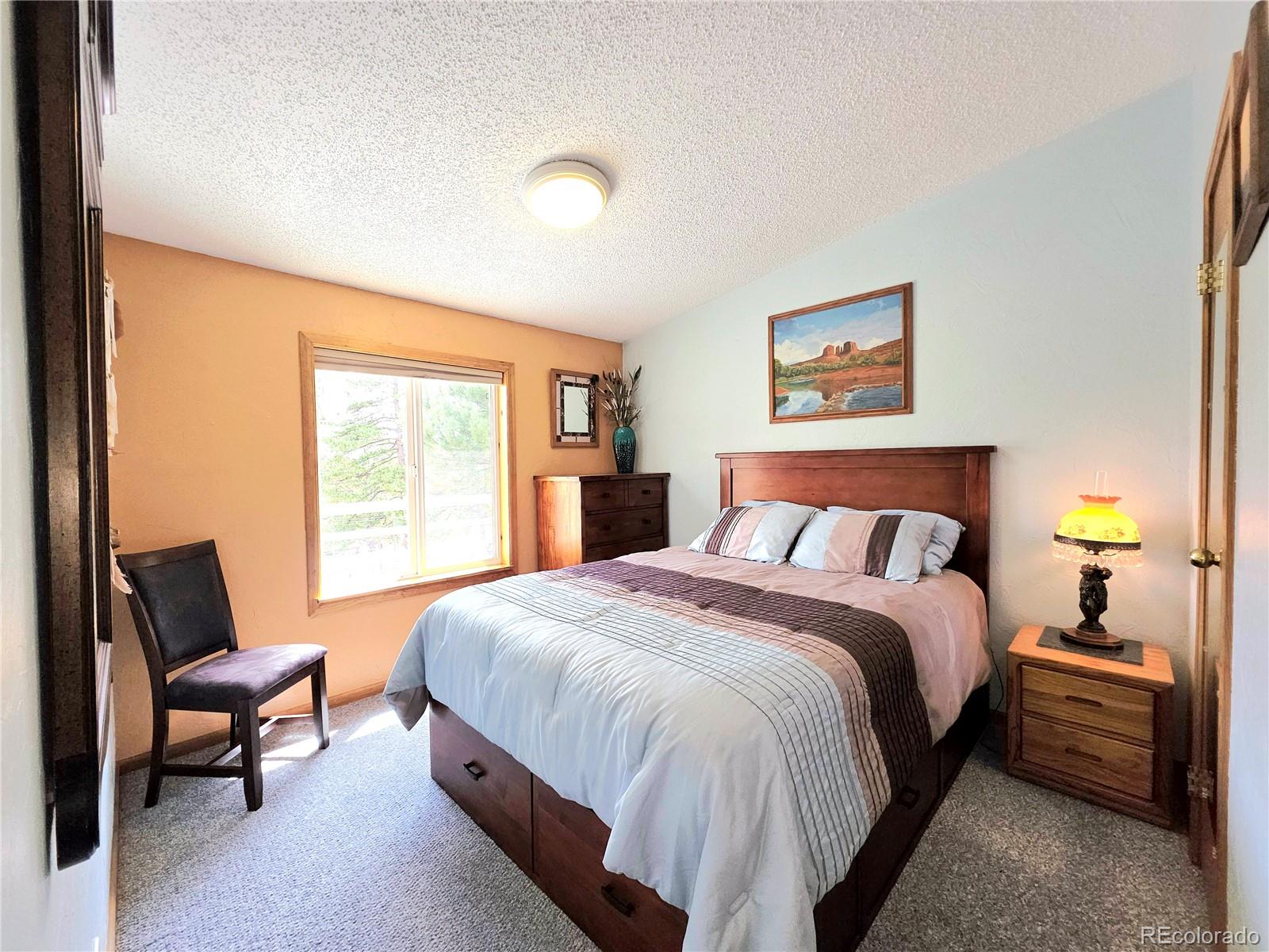 MLS Image #30 for 277  cherokee drive,florissant, Colorado