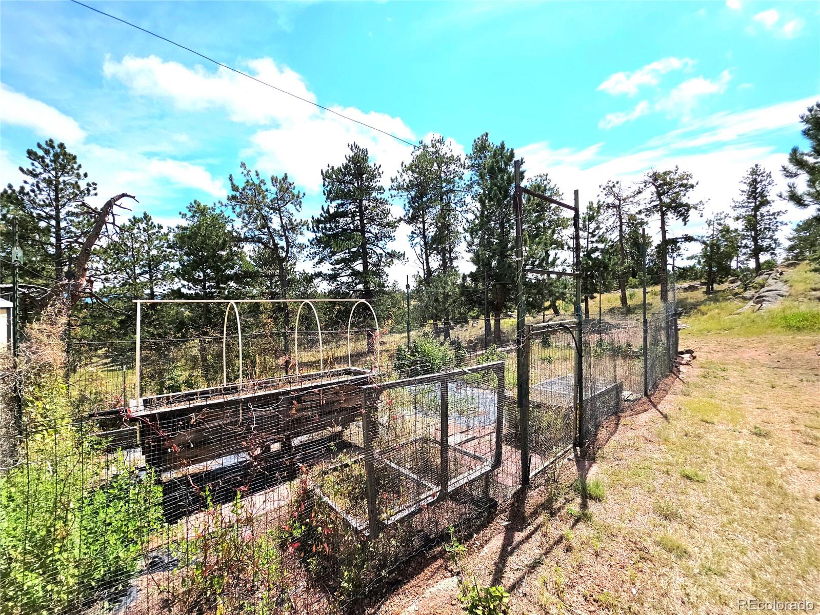 MLS Image #36 for 277  cherokee drive,florissant, Colorado