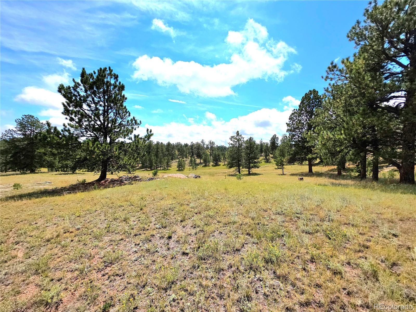 MLS Image #47 for 277  cherokee drive,florissant, Colorado