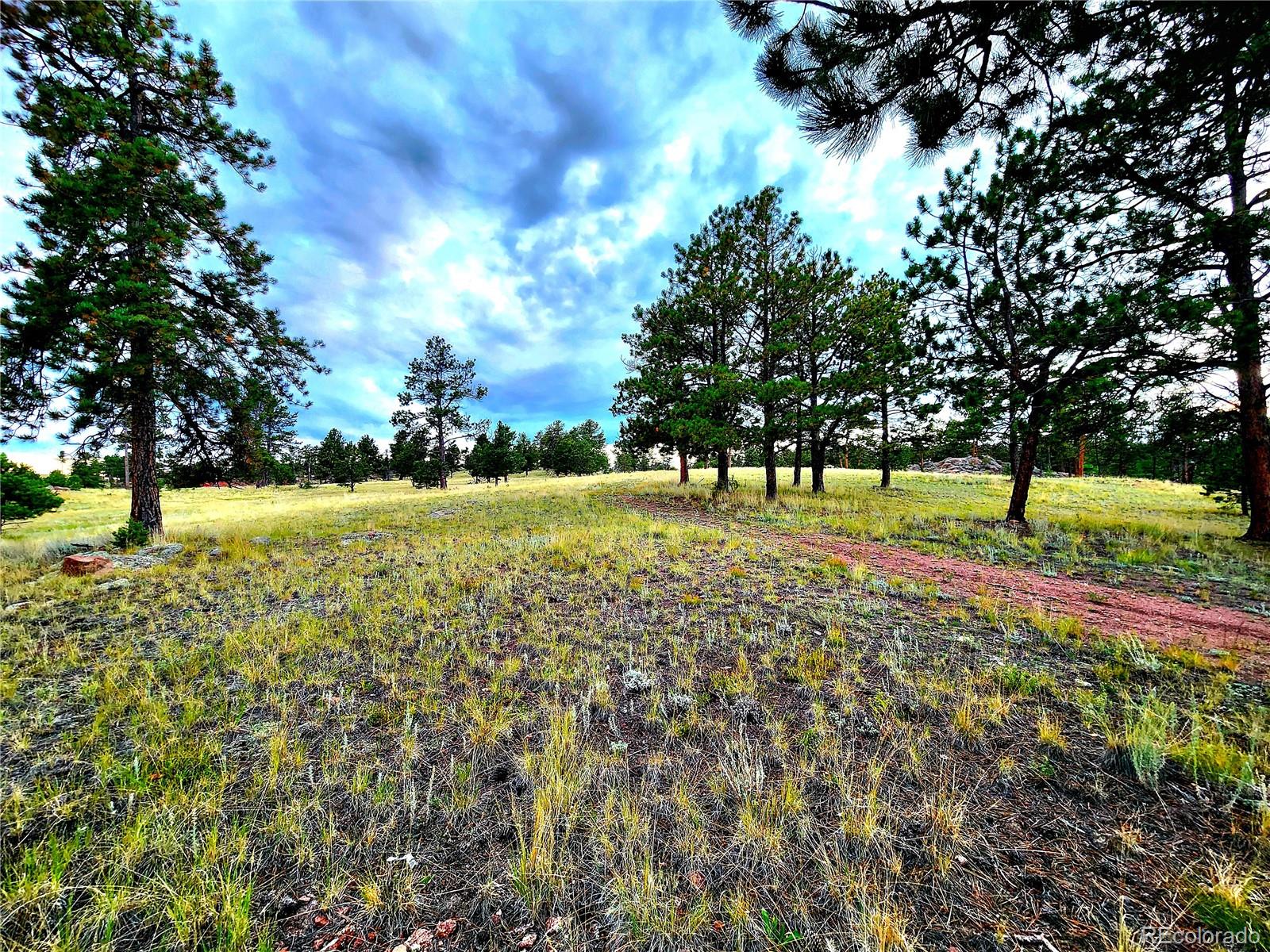 MLS Image #5 for 277  cherokee drive,florissant, Colorado
