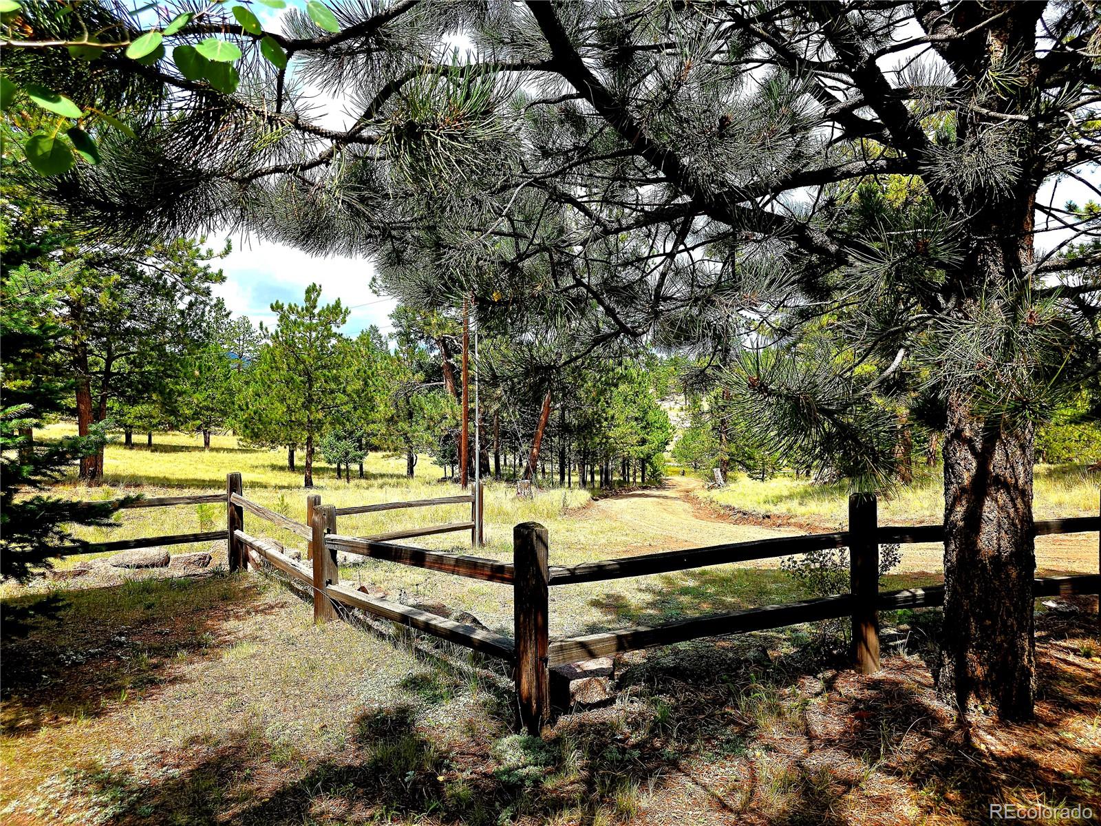 MLS Image #8 for 277  cherokee drive,florissant, Colorado