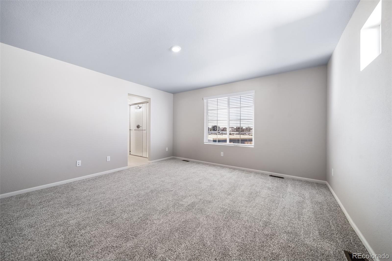 MLS Image #39 for 22302 e 38th place,aurora, Colorado