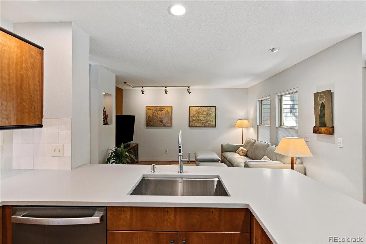 MLS Image #16 for 1384  briar circle,highlands ranch, Colorado