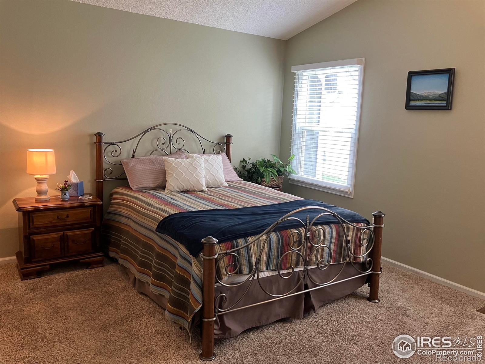 MLS Image #11 for 912  butte pass drive,fort collins, Colorado