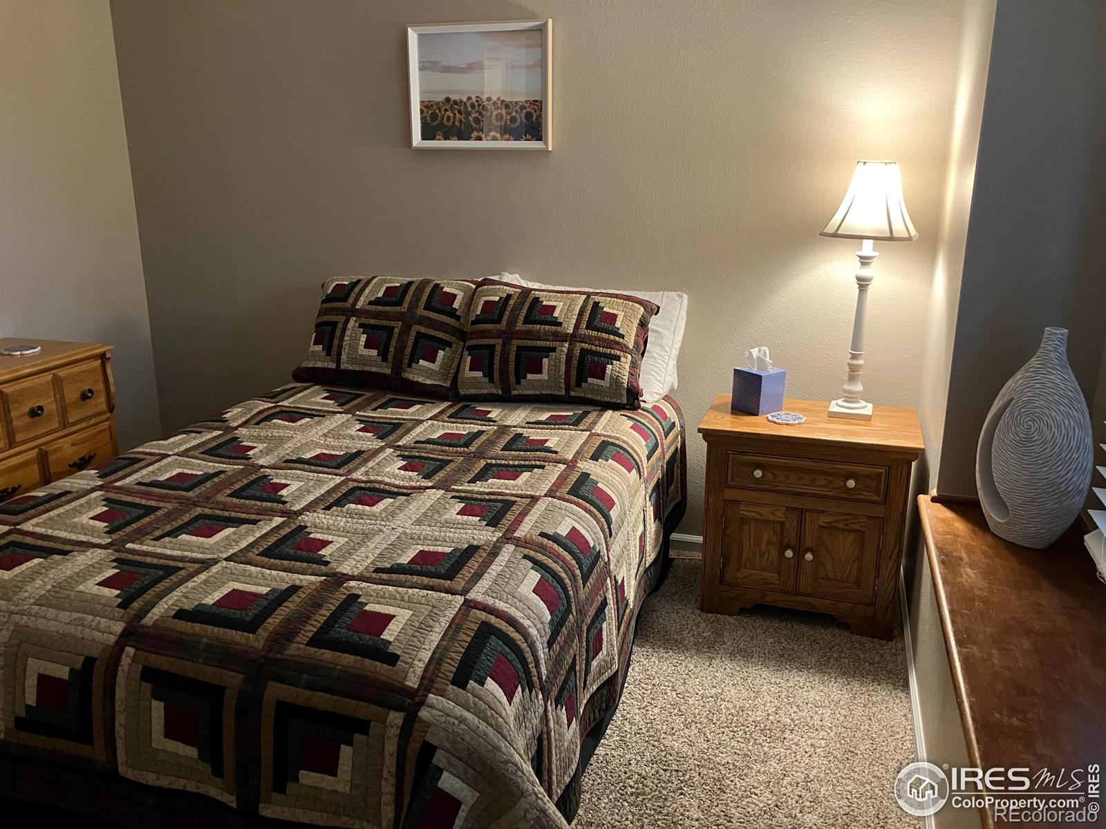 MLS Image #12 for 912  butte pass drive,fort collins, Colorado