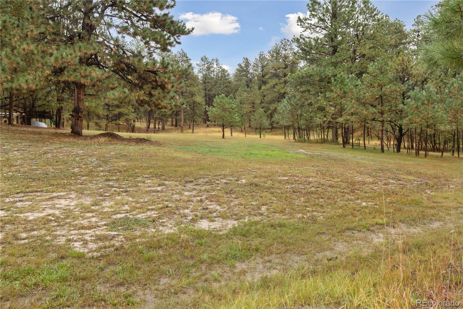 MLS Image #21 for 35720  whispering pine,elizabeth, Colorado
