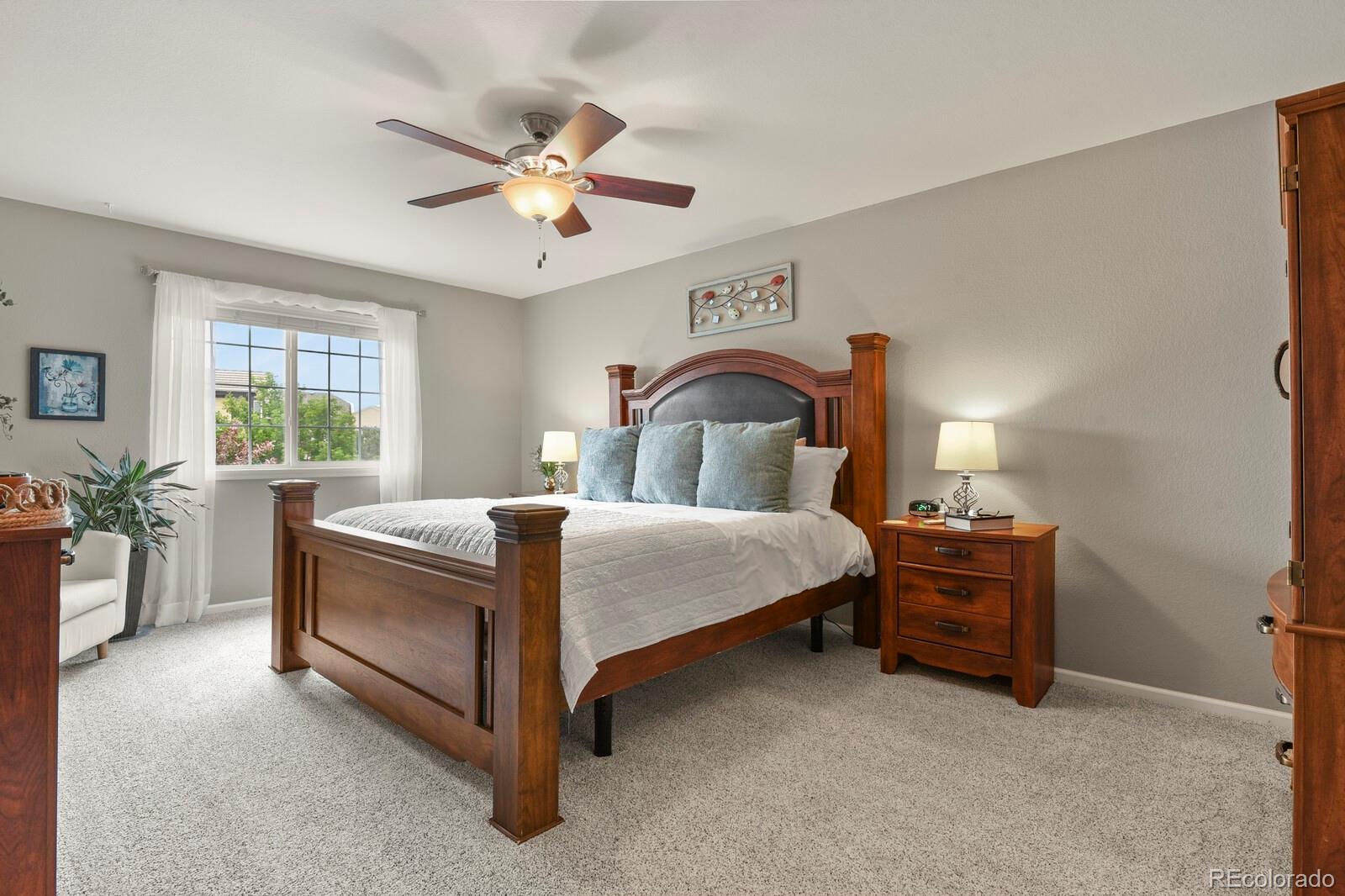 MLS Image #14 for 12152  coral burst lane,parker, Colorado