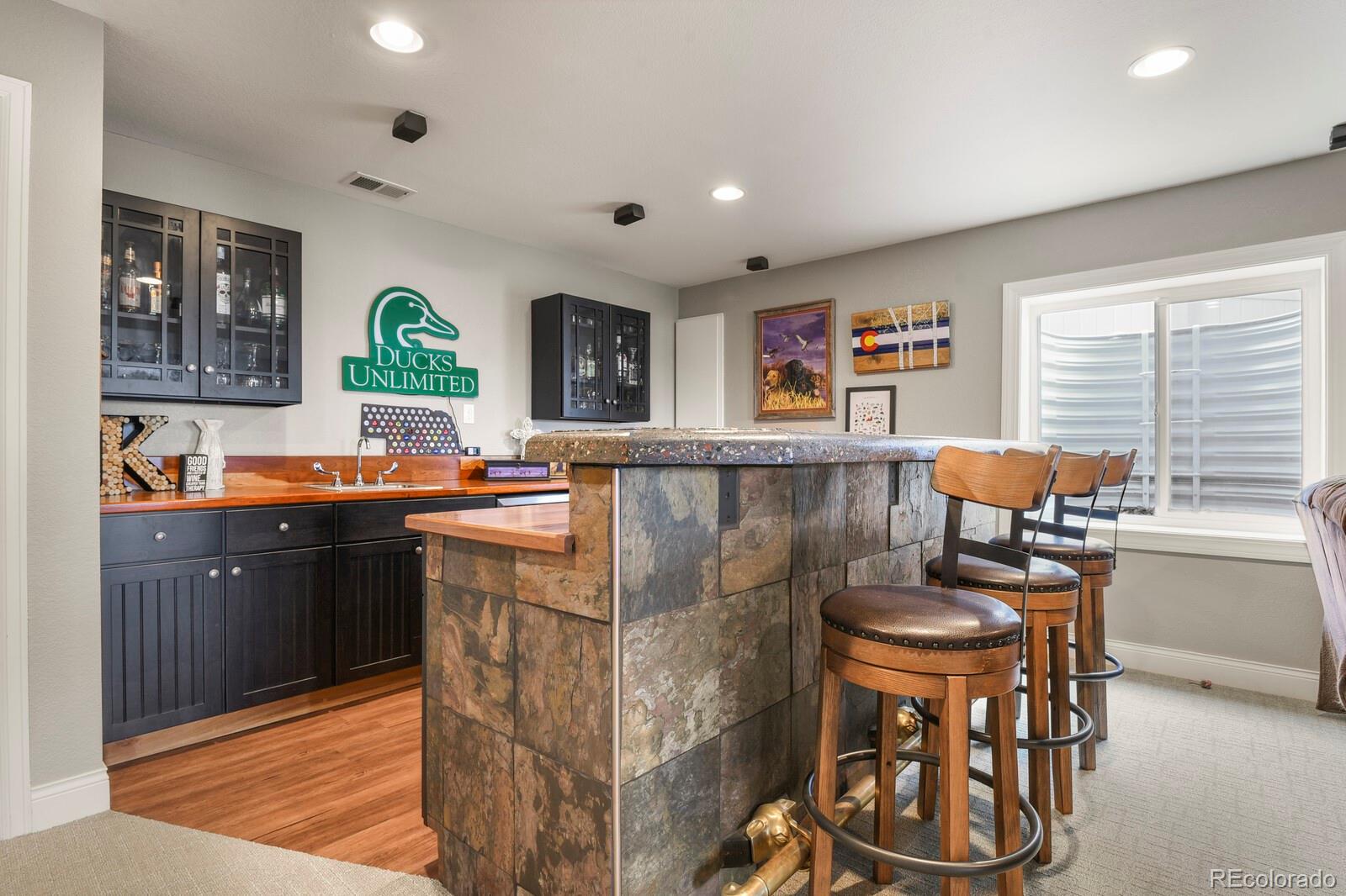 MLS Image #22 for 12152  coral burst lane,parker, Colorado