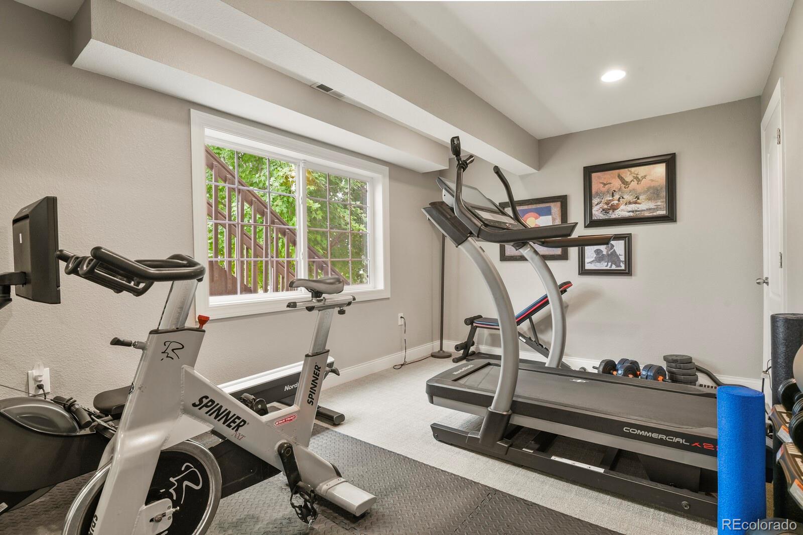 MLS Image #25 for 12152  coral burst lane,parker, Colorado
