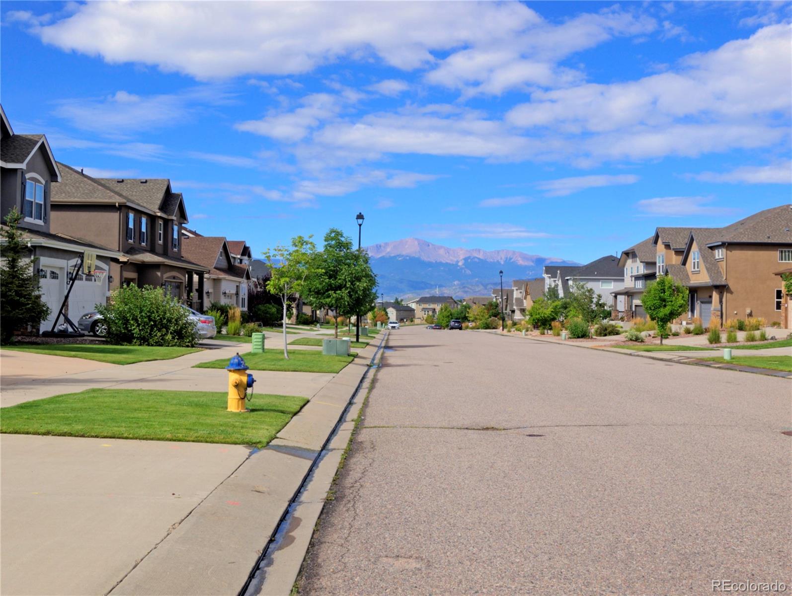 MLS Image #43 for 5817  leon young ,colorado springs, Colorado