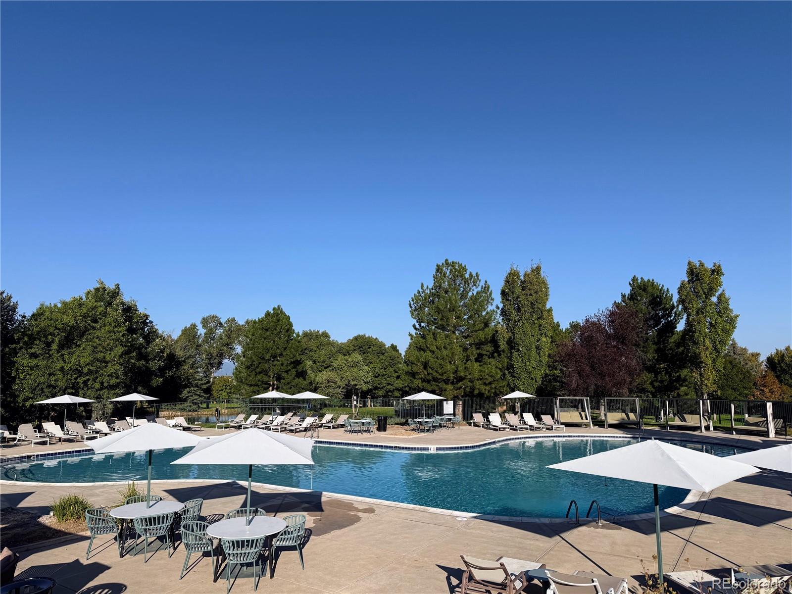 MLS Image #19 for 8578  gold peak drive,highlands ranch, Colorado
