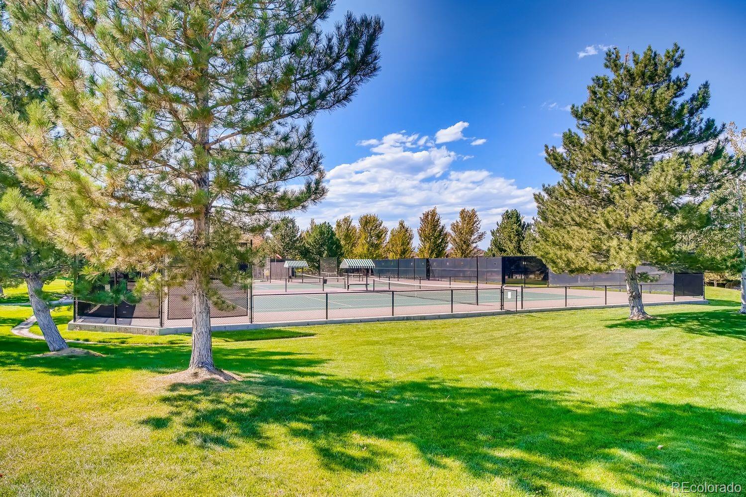 MLS Image #24 for 8578  gold peak drive,highlands ranch, Colorado