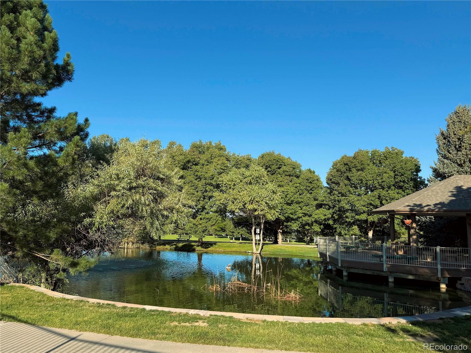 MLS Image #26 for 8578  gold peak drive,highlands ranch, Colorado