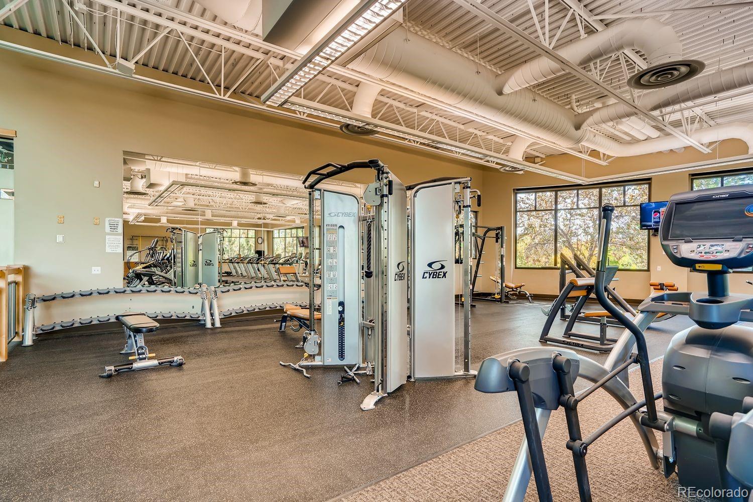 MLS Image #33 for 8578  gold peak drive,highlands ranch, Colorado