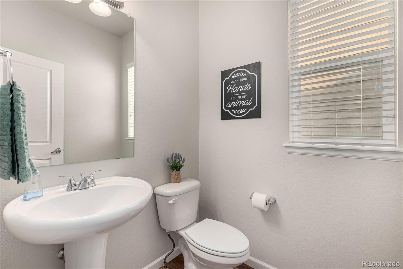 MLS Image #8 for 2034  trail stone court,castle rock, Colorado