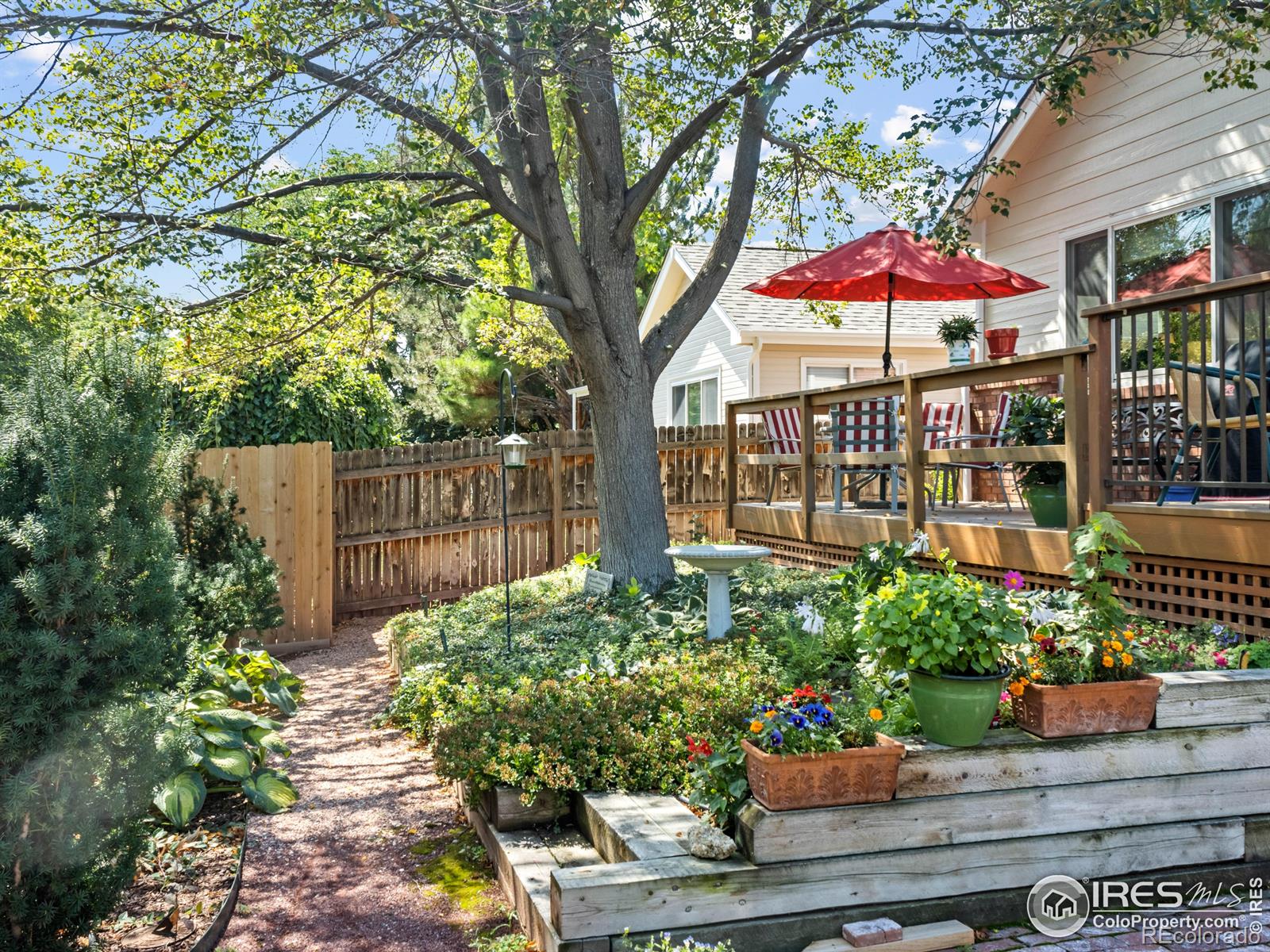 MLS Image #7 for 1520  tulip court,longmont, Colorado