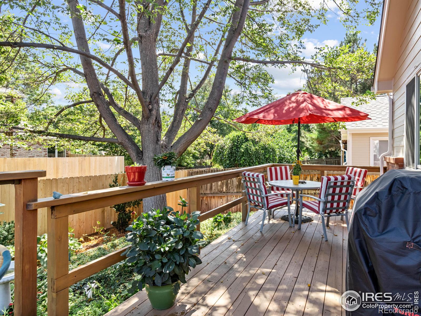 MLS Image #8 for 1520  tulip court,longmont, Colorado
