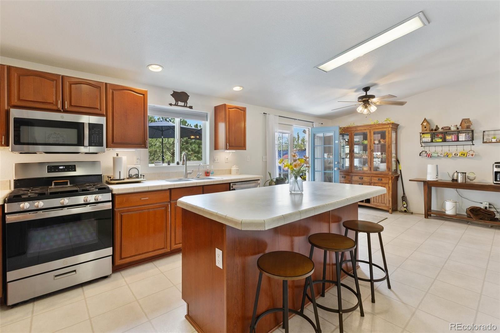 MLS Image #16 for 1058  hackamore drive,florissant, Colorado