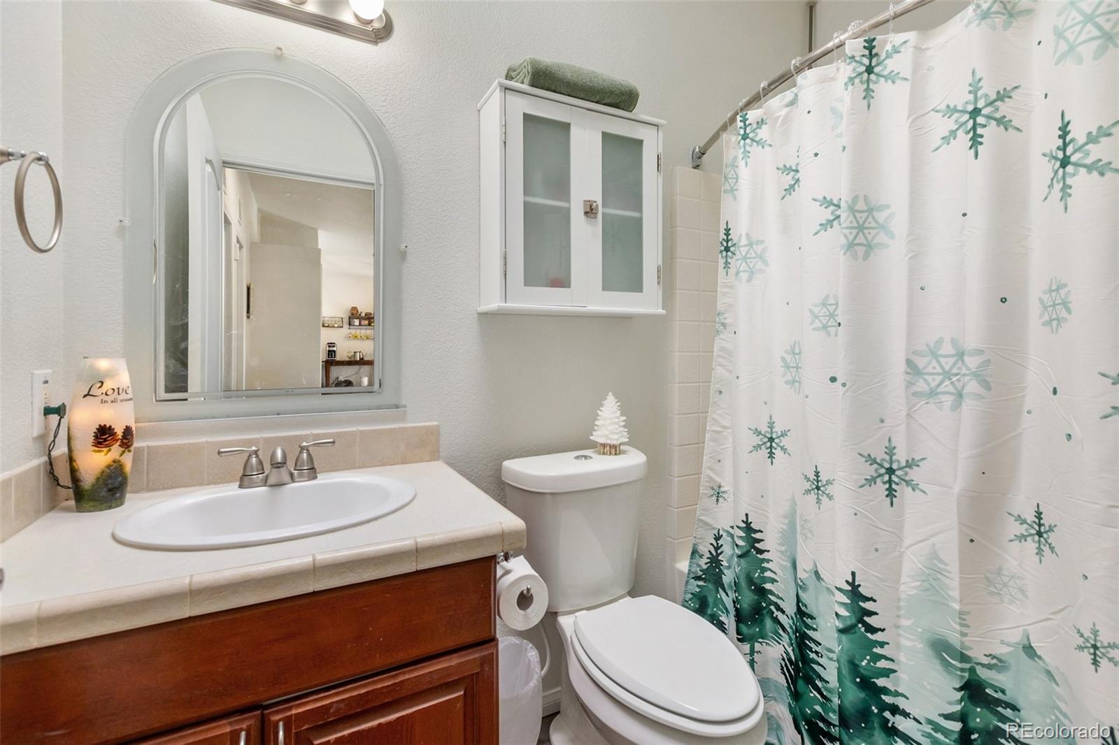 MLS Image #18 for 1058  hackamore drive,florissant, Colorado