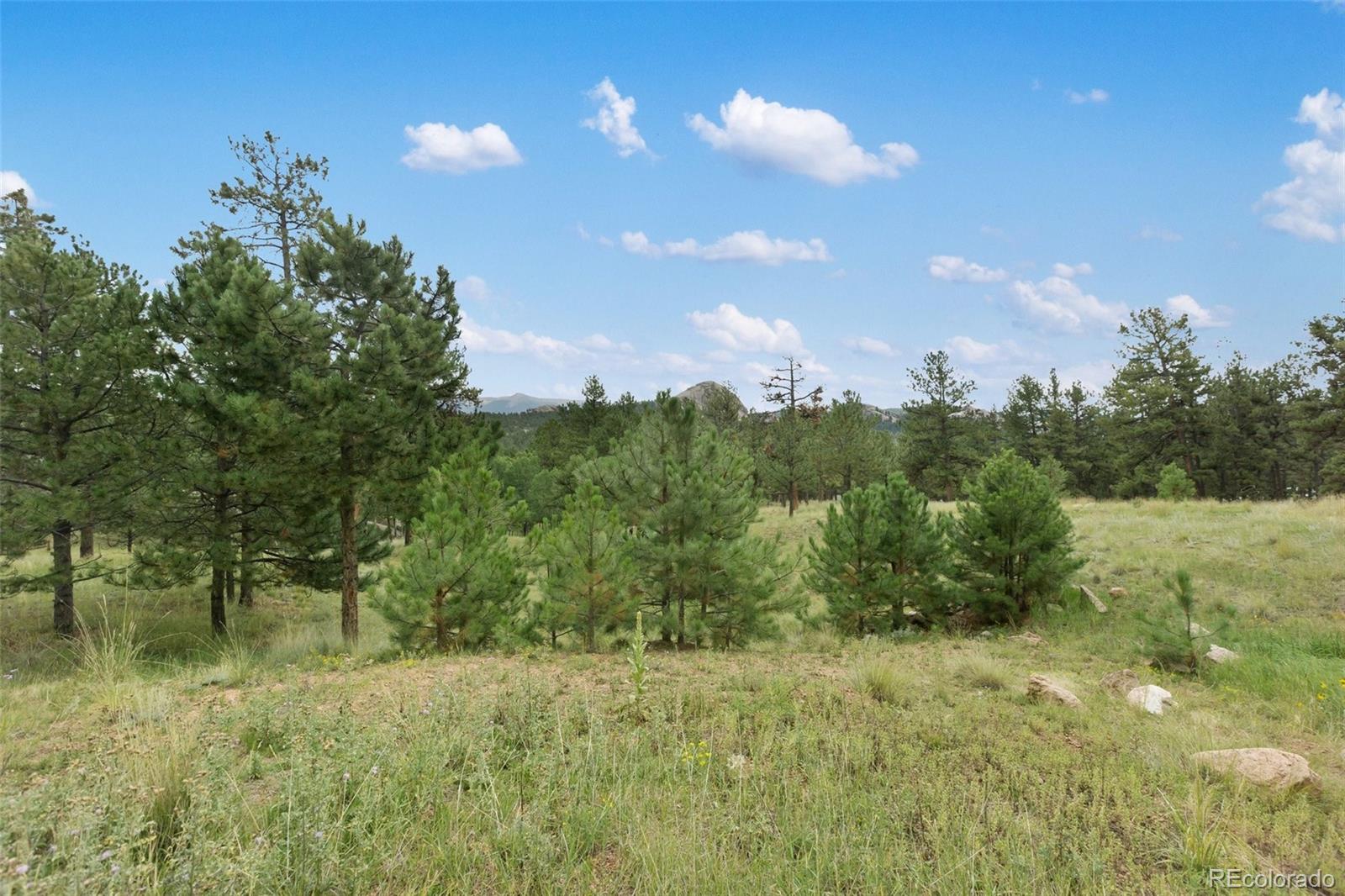 MLS Image #2 for 1058  hackamore drive,florissant, Colorado