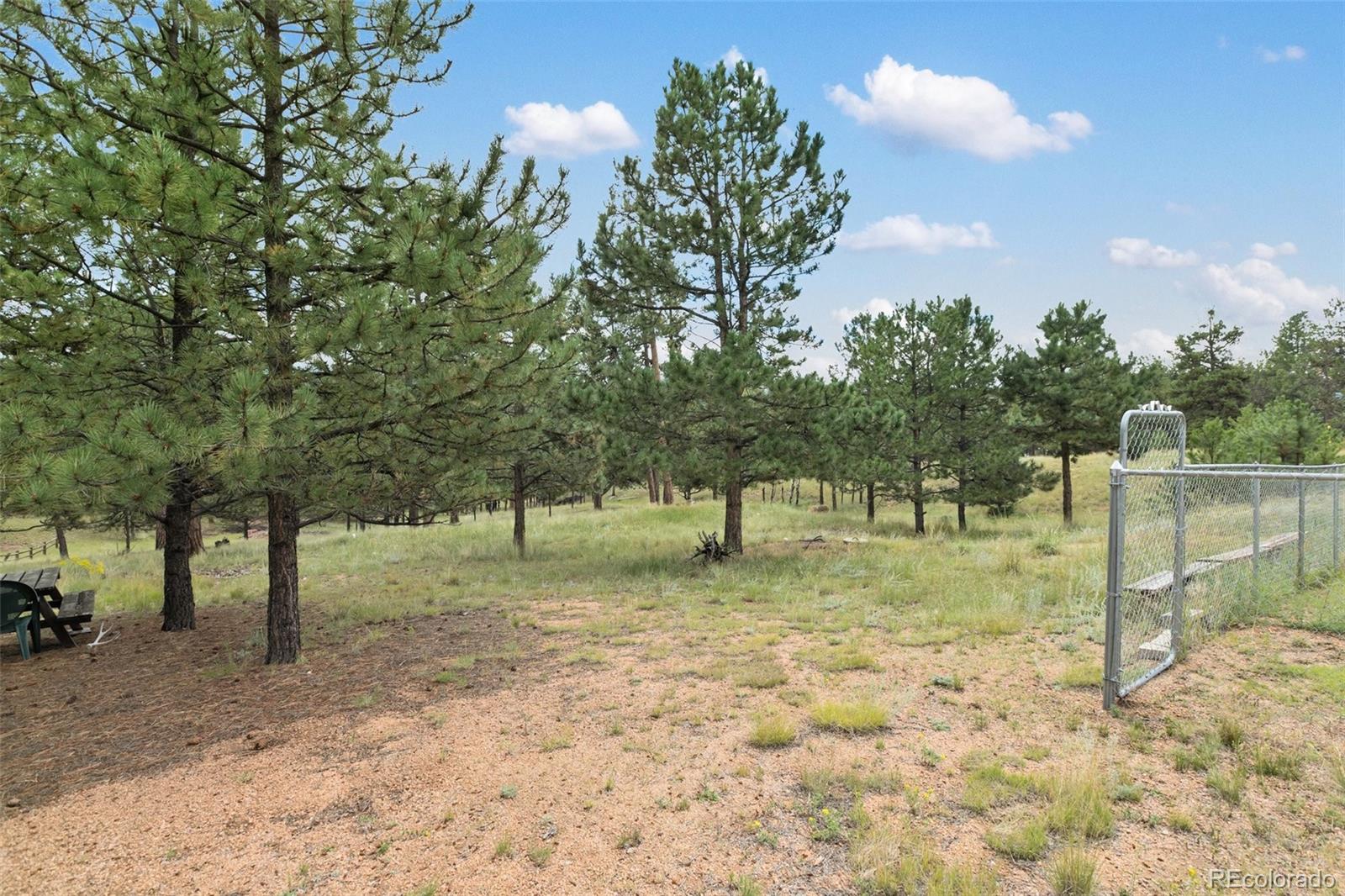 MLS Image #33 for 1058  hackamore drive,florissant, Colorado