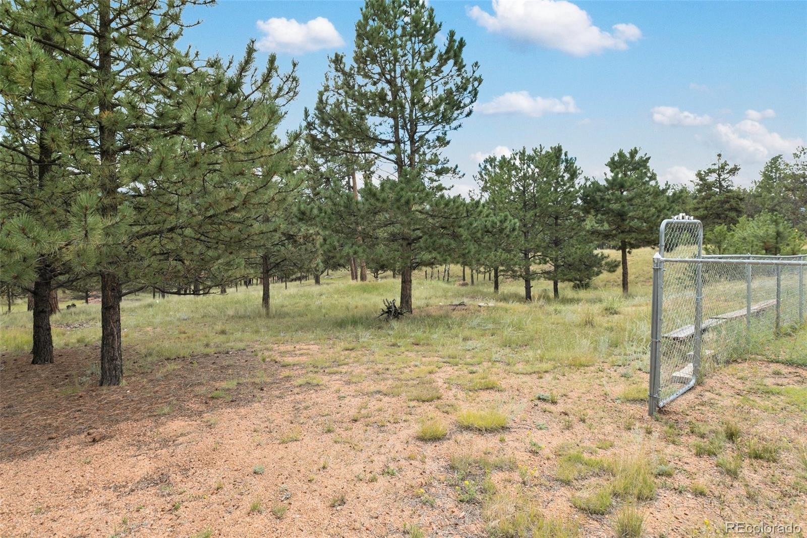 MLS Image #34 for 1058  hackamore drive,florissant, Colorado