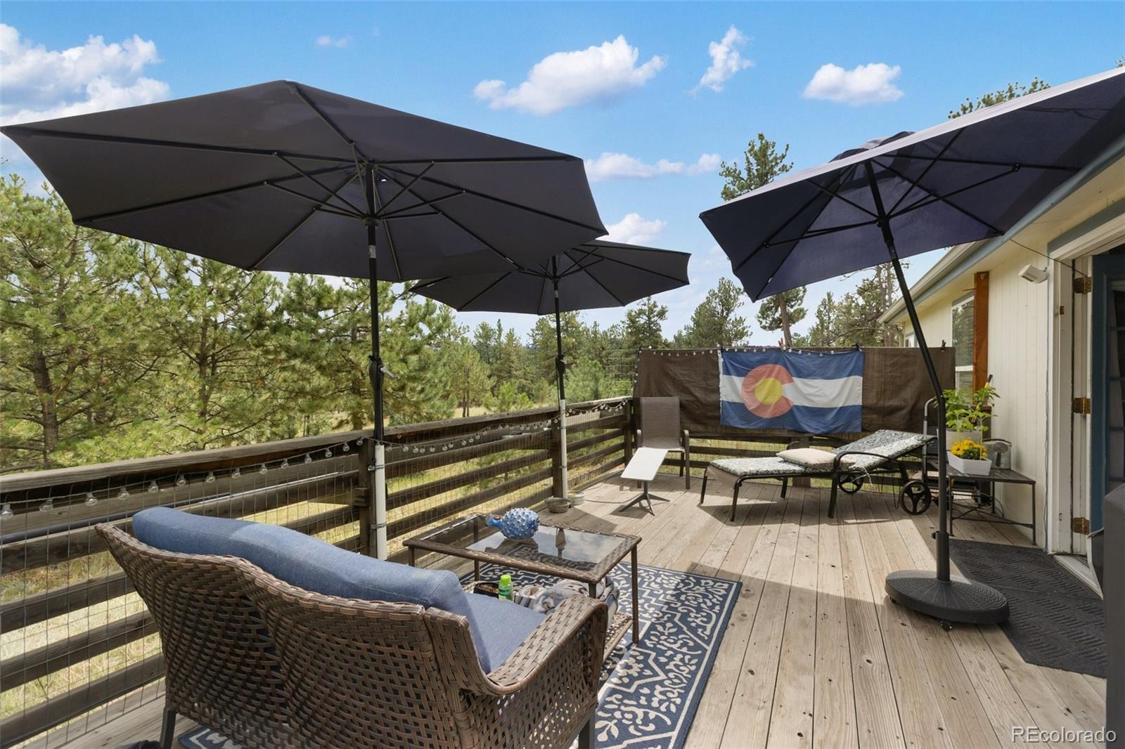 MLS Image #35 for 1058  hackamore drive,florissant, Colorado