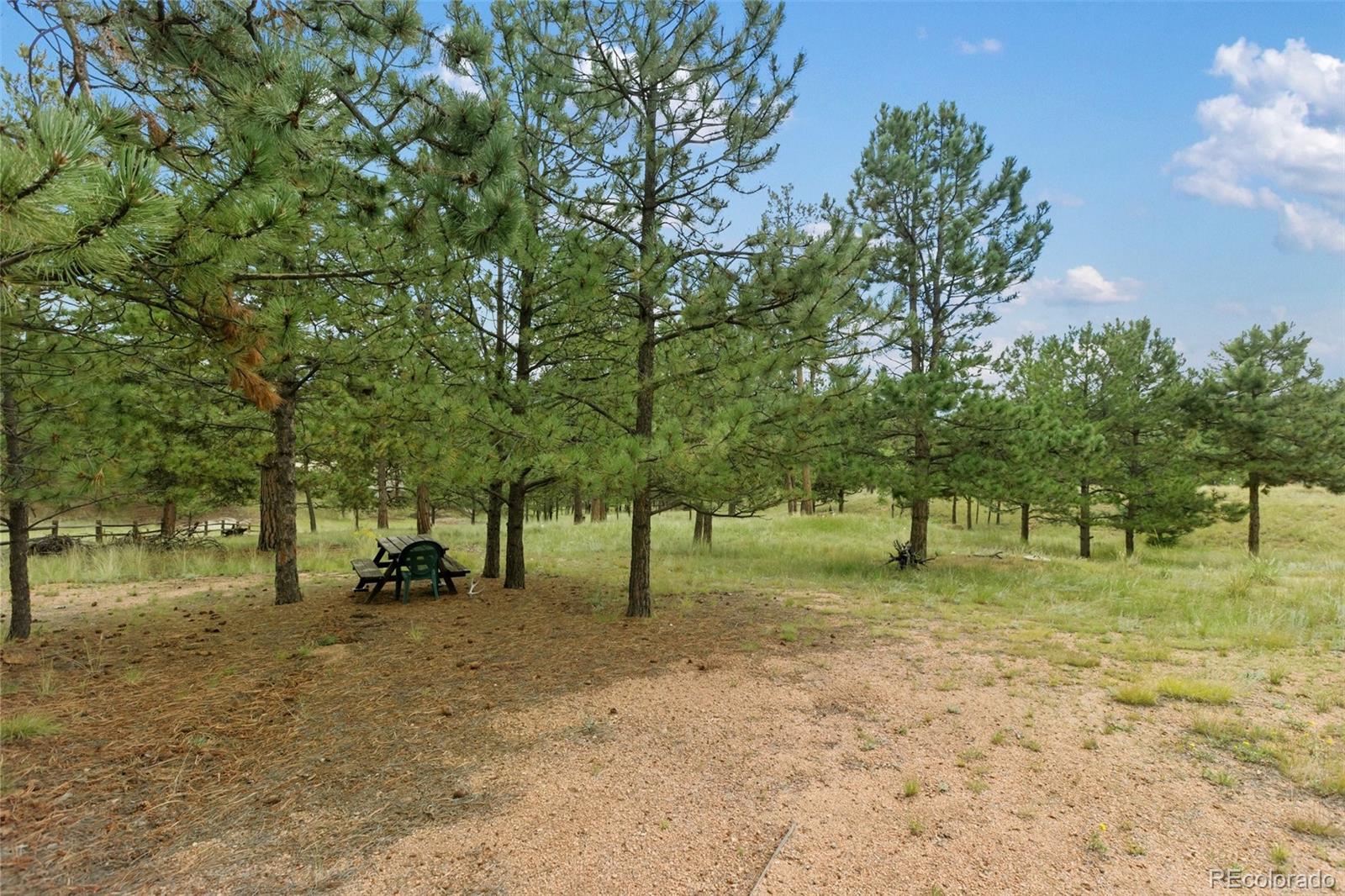 MLS Image #4 for 1058  hackamore drive,florissant, Colorado