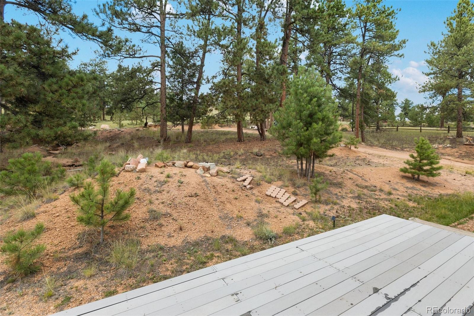 MLS Image #6 for 1058  hackamore drive,florissant, Colorado