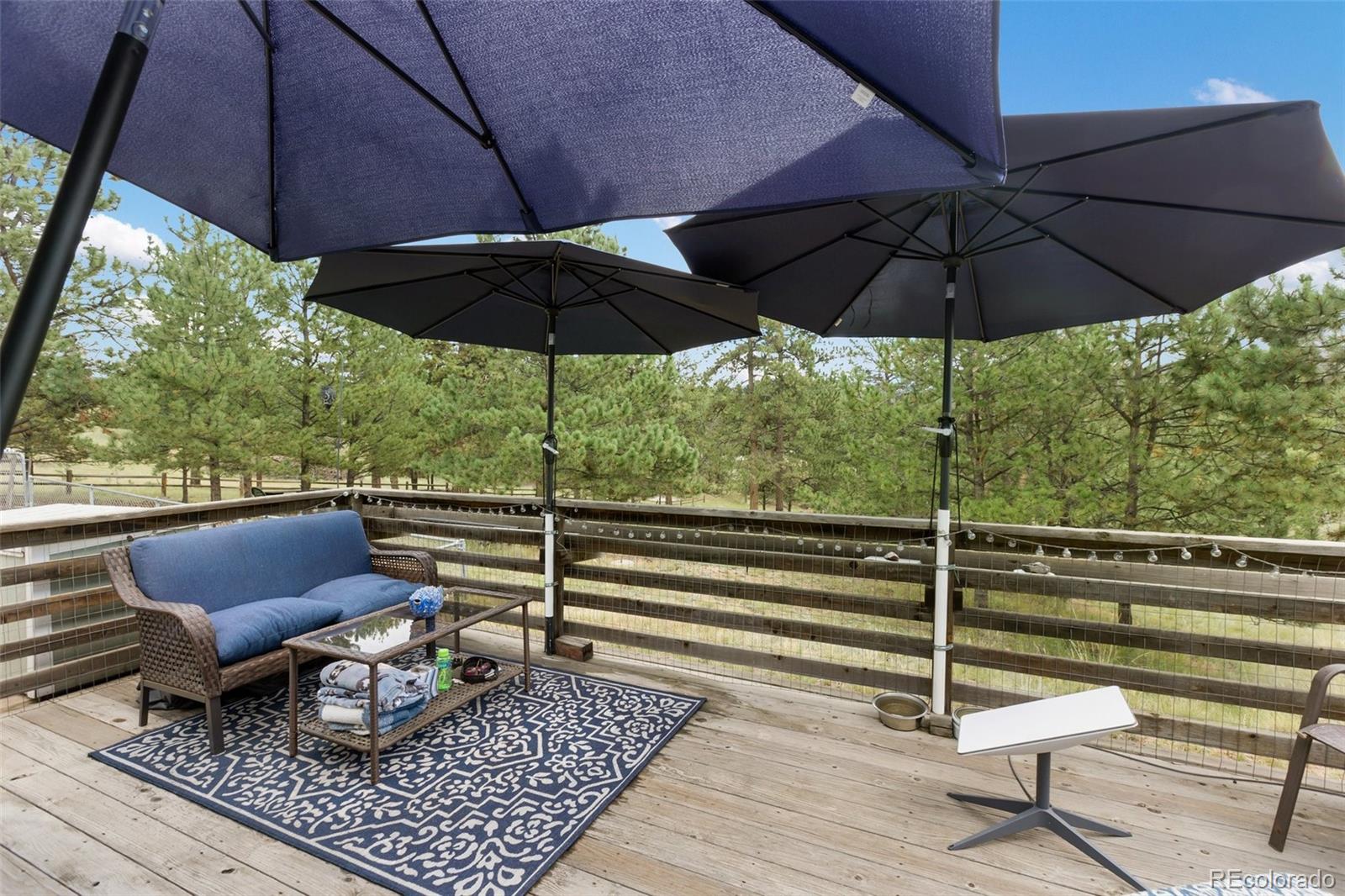 MLS Image #7 for 1058  hackamore drive,florissant, Colorado
