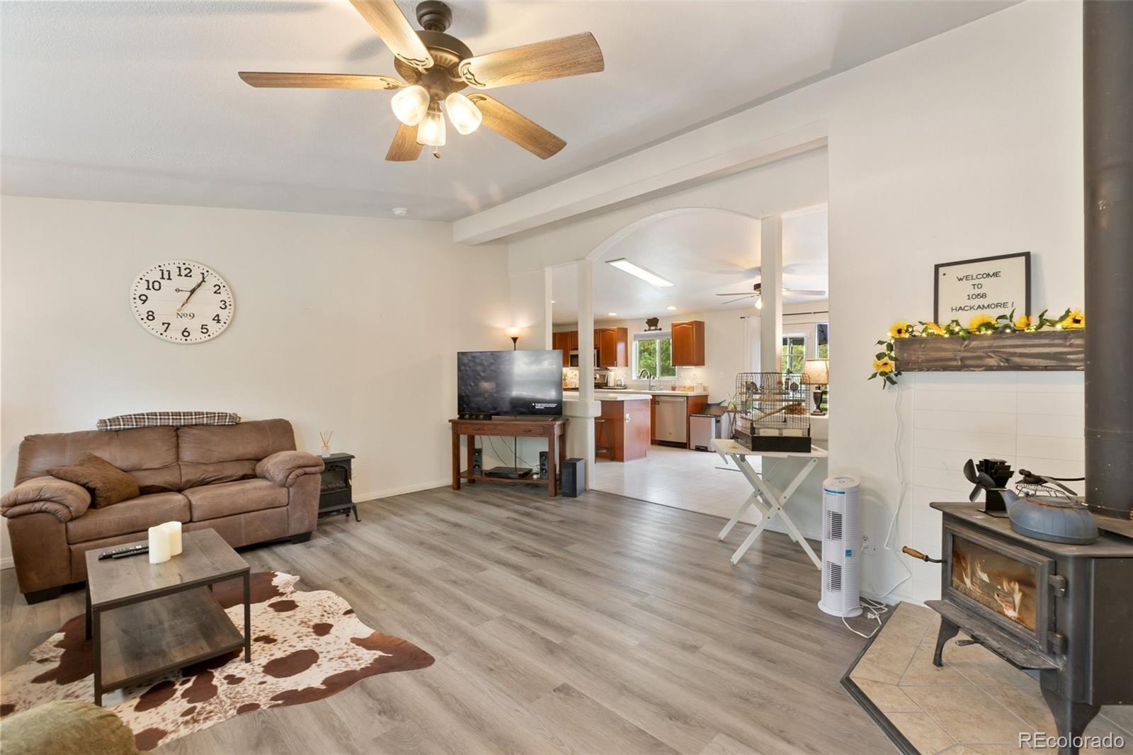 MLS Image #9 for 1058  hackamore drive,florissant, Colorado