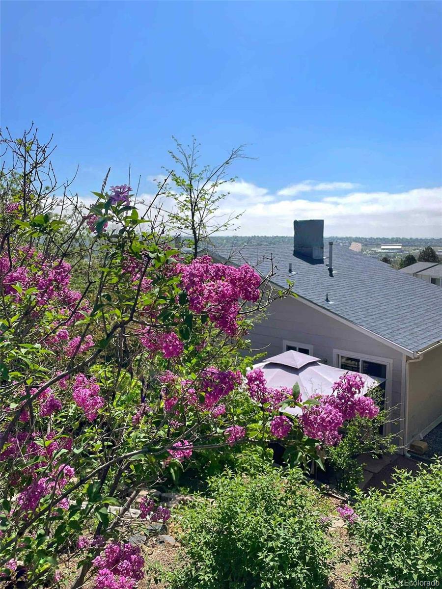 MLS Image #29 for 5410  sacramento place,colorado springs, Colorado