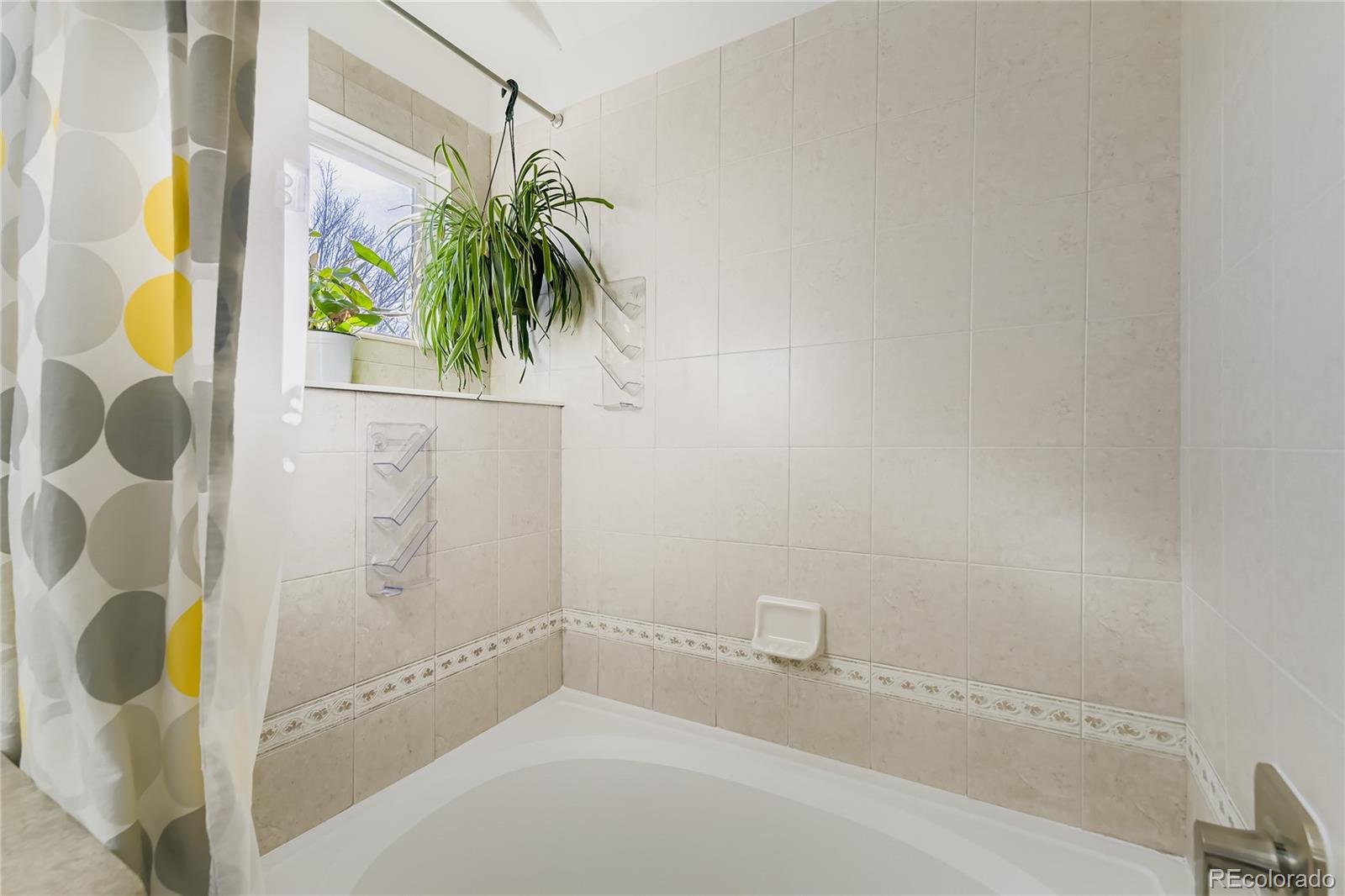 MLS Image #17 for 6321  snowberry avenue,firestone, Colorado